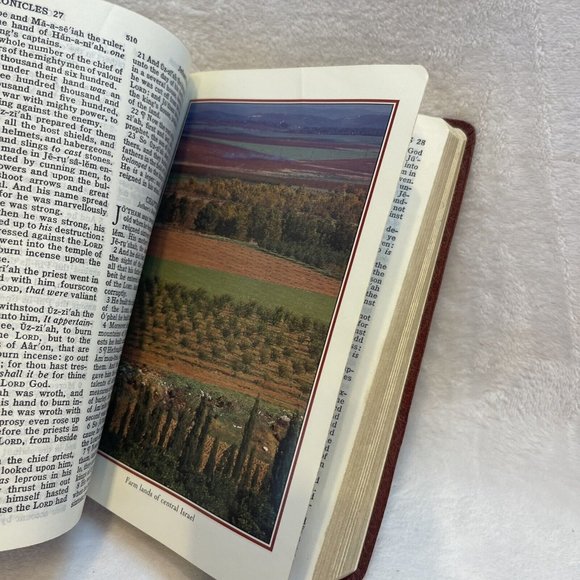 Holy Bible King James Dictionary Concordance Holman Red Letter Version Burgundy - Picture 10 of 12